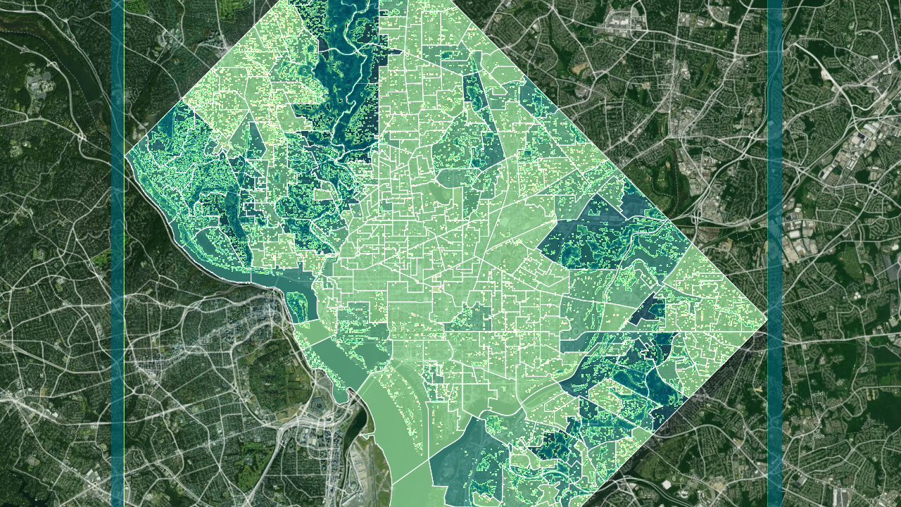 DC Urban Canopy Height | Atlas